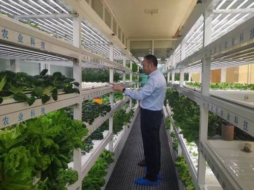 1656489528380945.jpg 640 (1).jpg